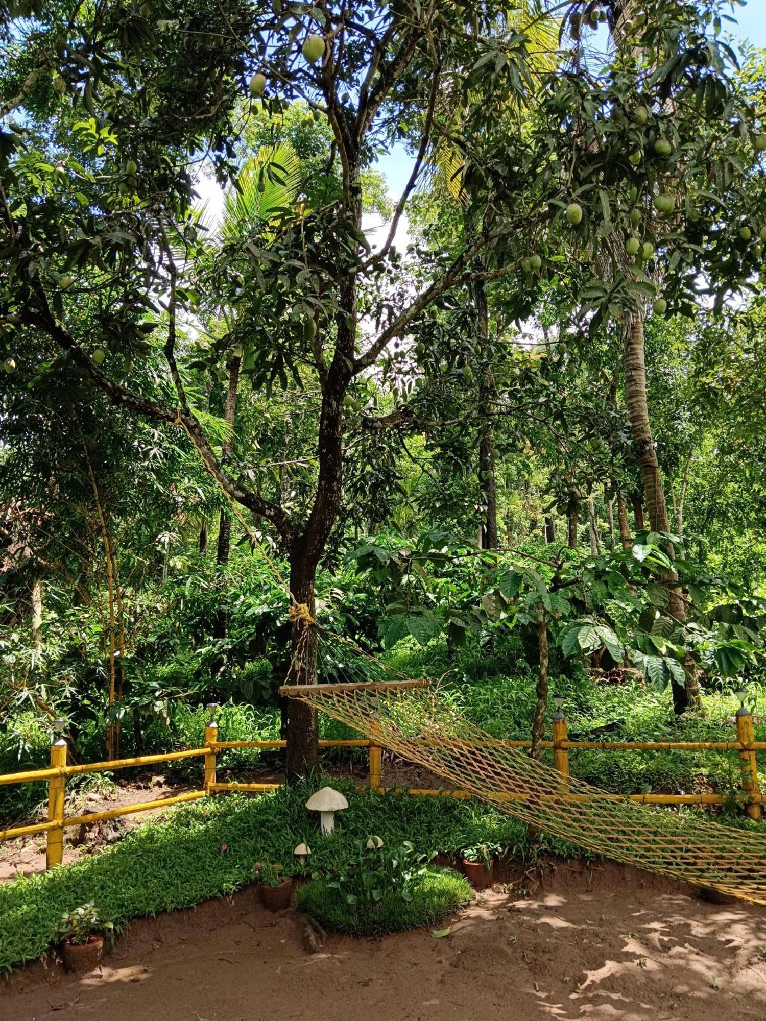 Kalidasa Tree House And Villa, Wayanad Chegāt Екстериор снимка