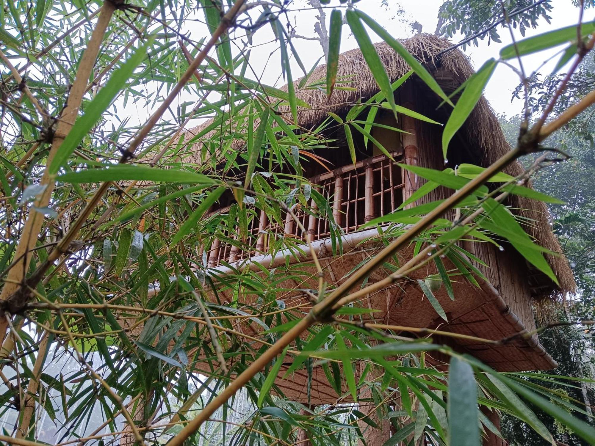 Kalidasa Tree House And Villa, Wayanad Chegāt Стая снимка