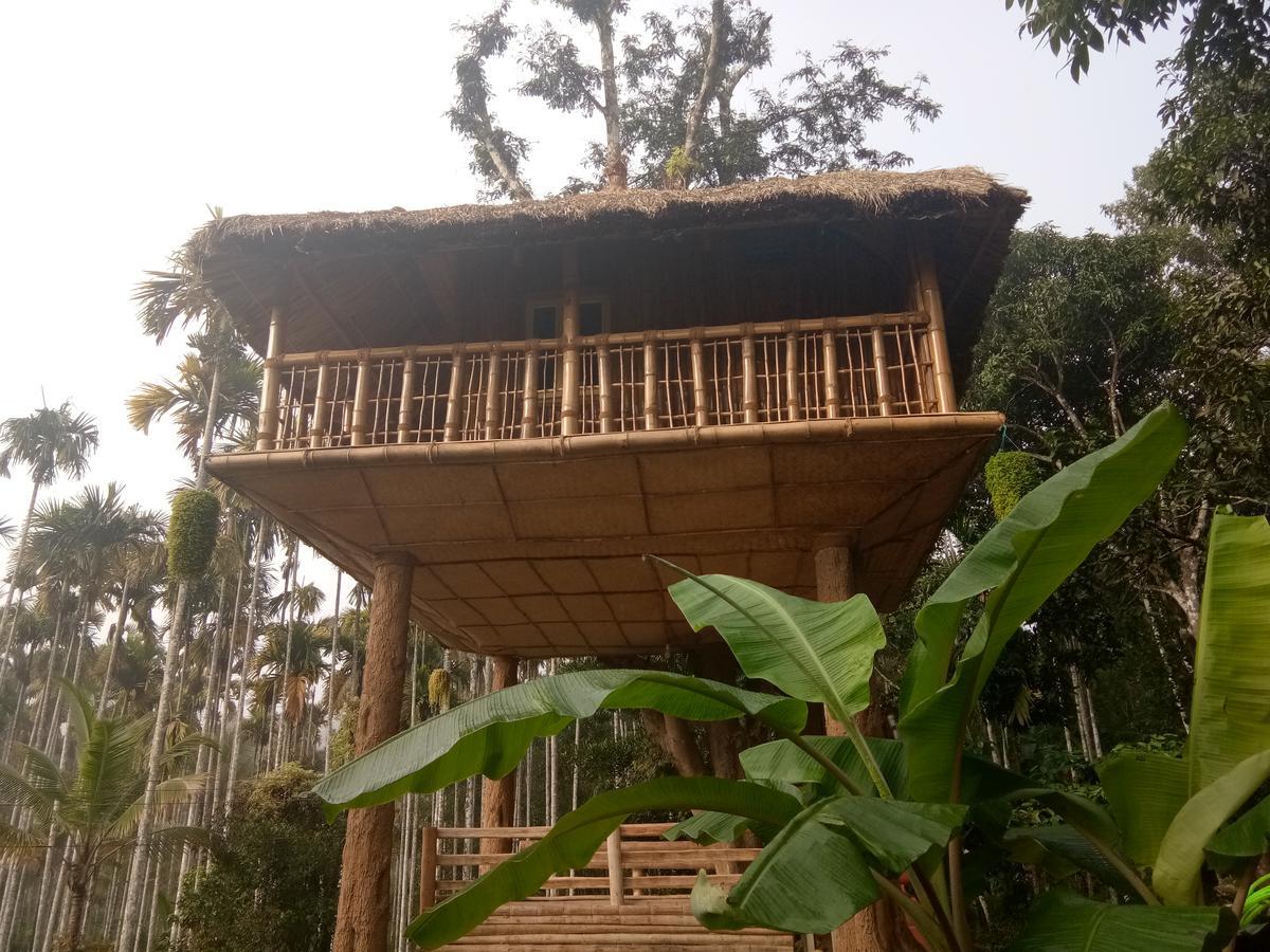 Kalidasa Tree House And Villa, Wayanad Chegāt Екстериор снимка
